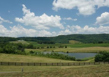 Why People Are Visiting Tasting Rooms